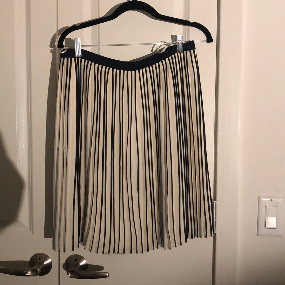 J. Crew skirt